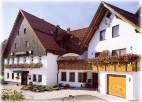 Гостиница Hotel Gasthof Hirsch, Альфдорф